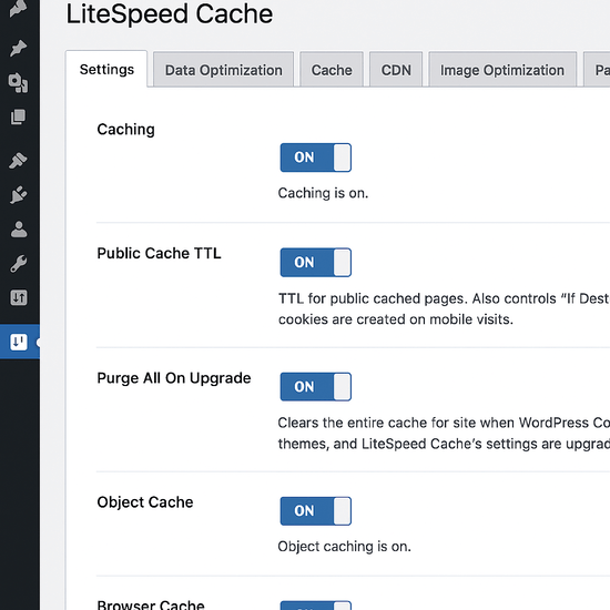 WordPress dashboard showing LiteSpeed Cache plugin settings page with caching, object cache, and browser cache toggles switched on to improve WordPress site speed and performance.
